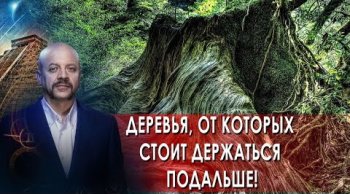 Загадки человечества с Олегом Шишкиным (25.10.2021)